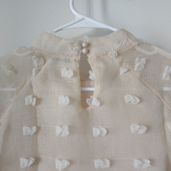 SHEIN cream tufted sheer top with cream lining, gathered sleeve cuffs, mock neck - Picture 8 of 15